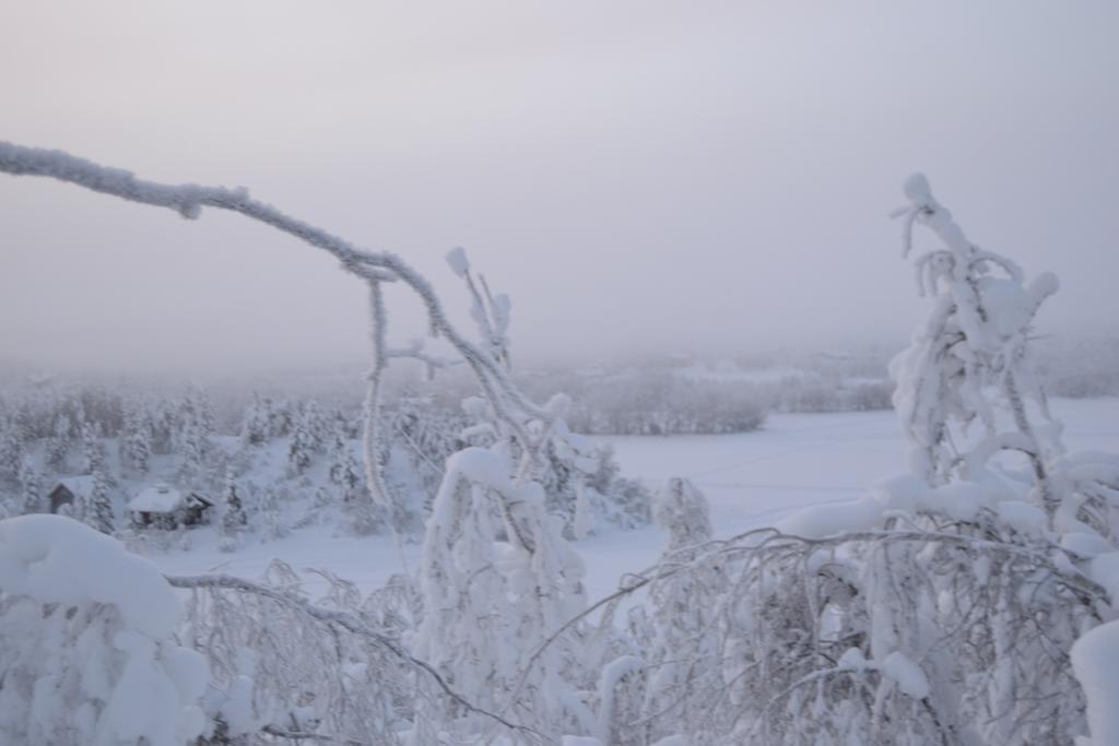 可罗婷瑞塔曼杰特山林小屋 Leppäjärvi 外观 照片