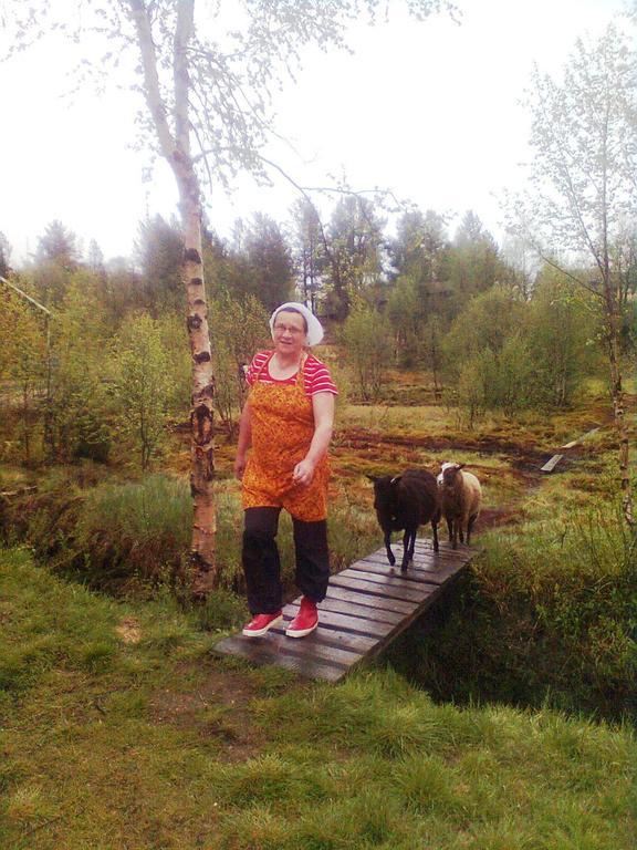 可罗婷瑞塔曼杰特山林小屋 Leppäjärvi 外观 照片
